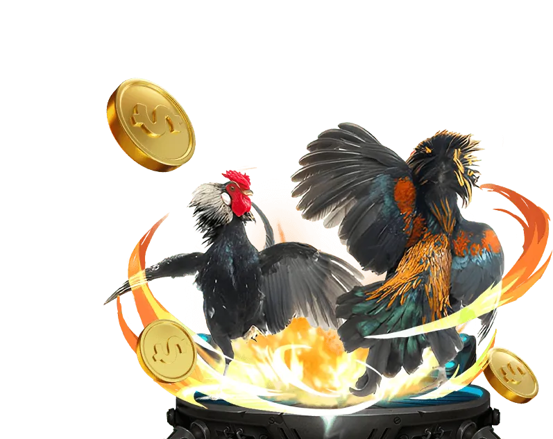 Cá cược trực tiếp tại win 78